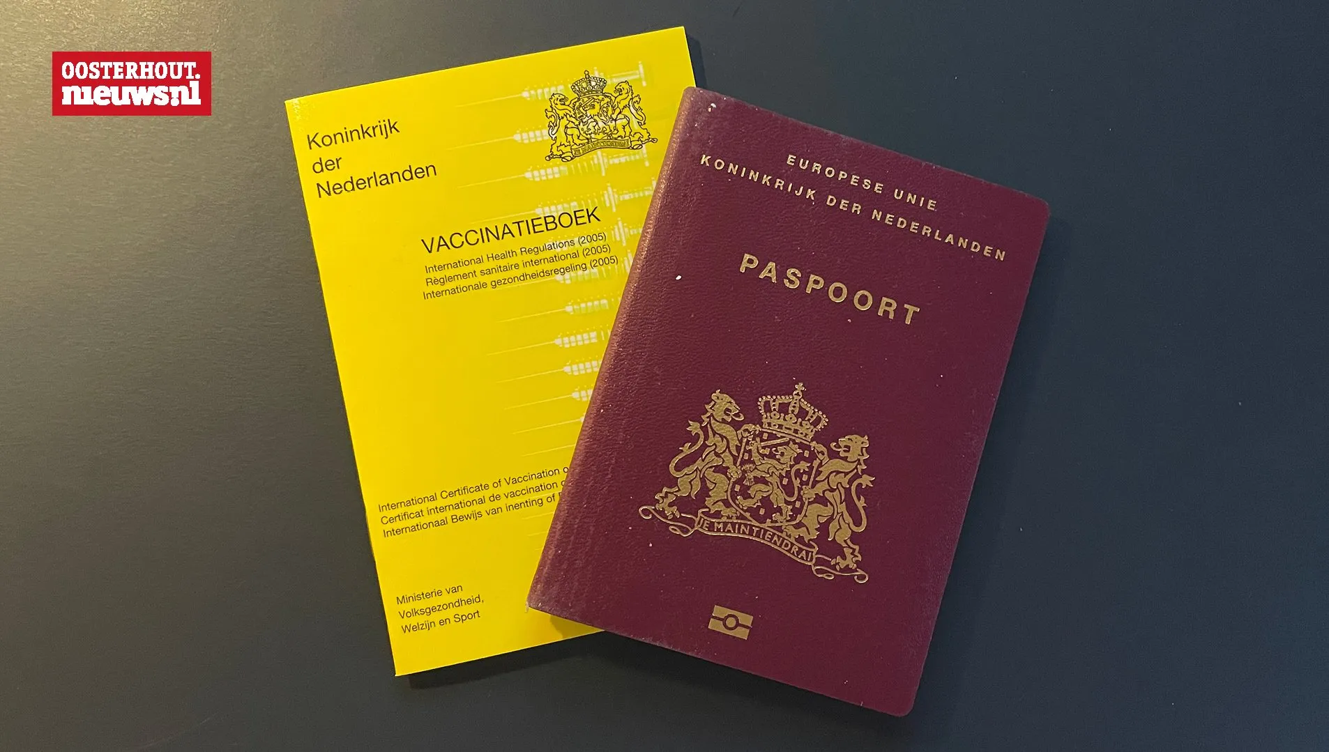 paspoort vaccinatieboekje