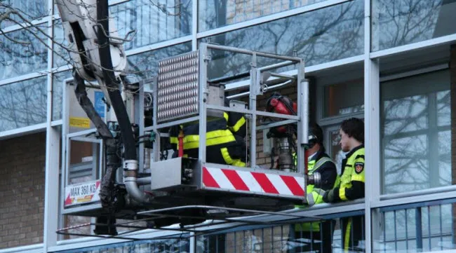 q4q7n2359r9mry42wfacpy4o8 lelie1