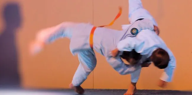 r8mw8x1x24tp5e1kby0v67r8s judo arashi