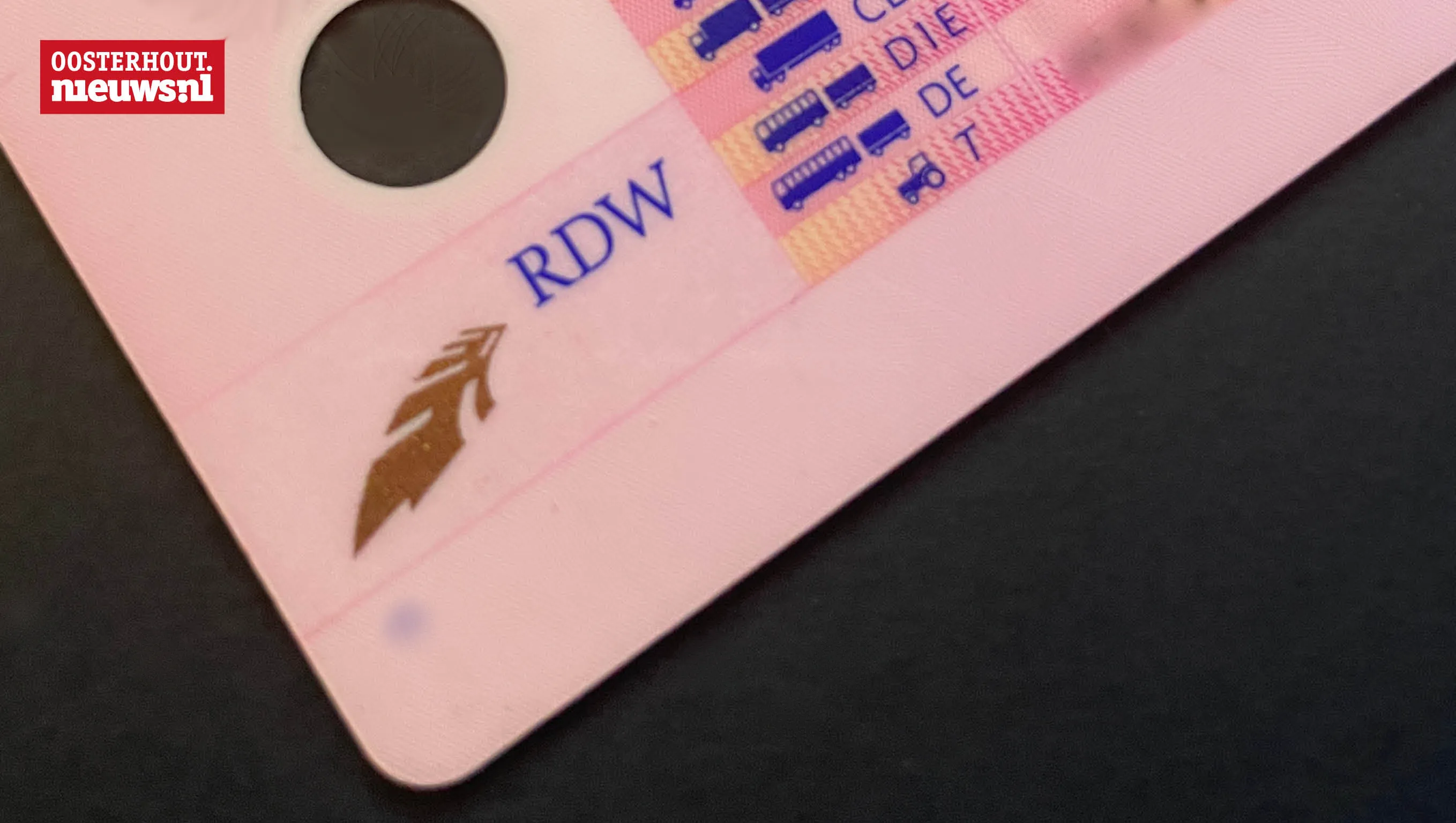 rijbewijsnl