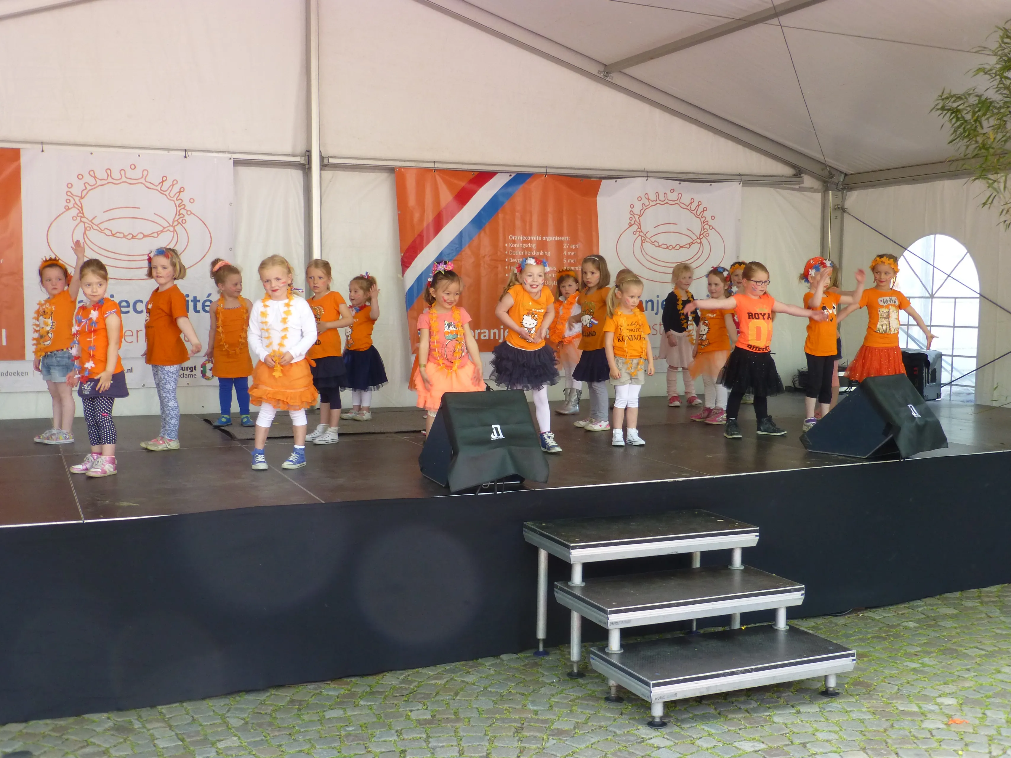 s2dwsrt5o4an7ra8l75woyph6 p1220286