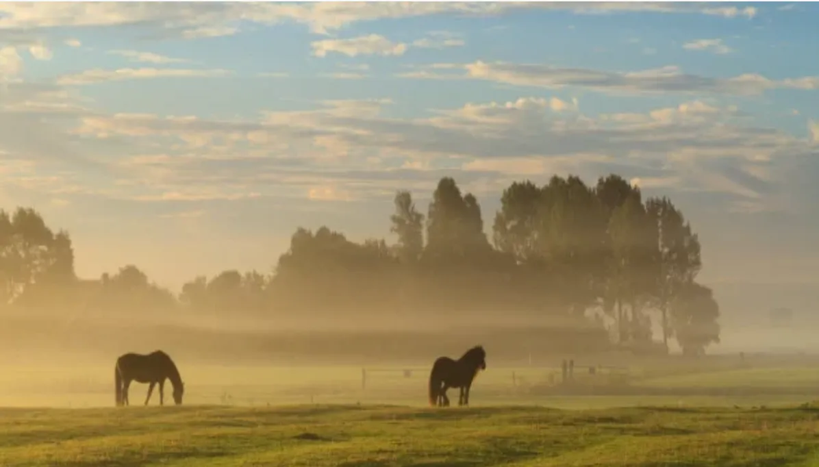 schermafbeelding 2017 09 23 om 081921