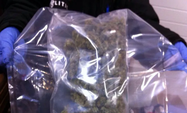 tu50du2t1tud0518kdsnxyh8r dorst11