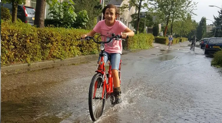 wateroverlast houthaven