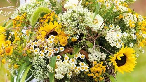 wboqsk7v49eq82r75yngfcpde bloemen