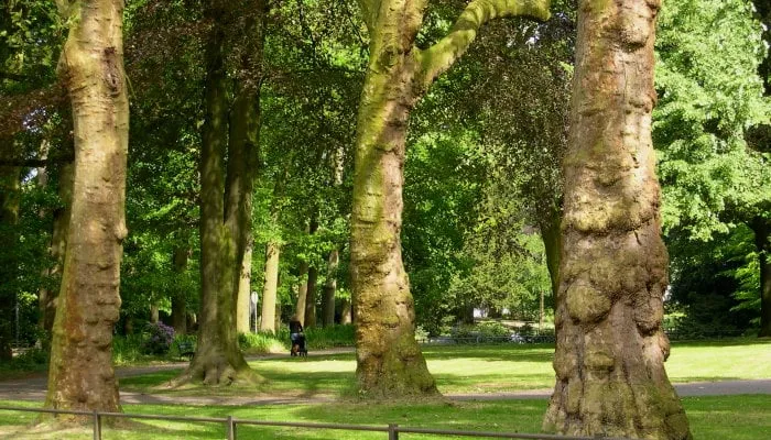 wwg stadspark oosterhout maart2016 02 1