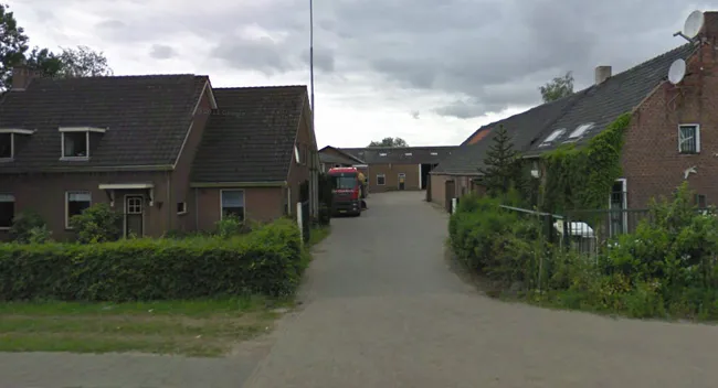 xugc5wgkbigzhz8bgc9mn5dxi van ginneken