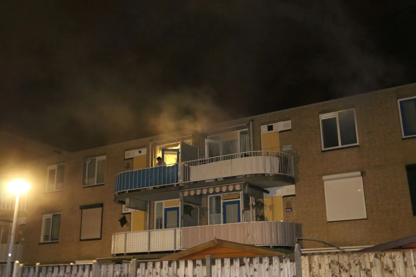 yl6i0fpmqa5pgirybs4kj2c4t brand 2