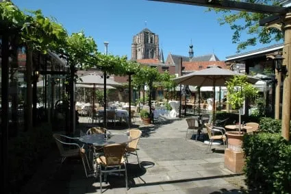 zld77011e6mxw73vmh5eka2q0 cantina