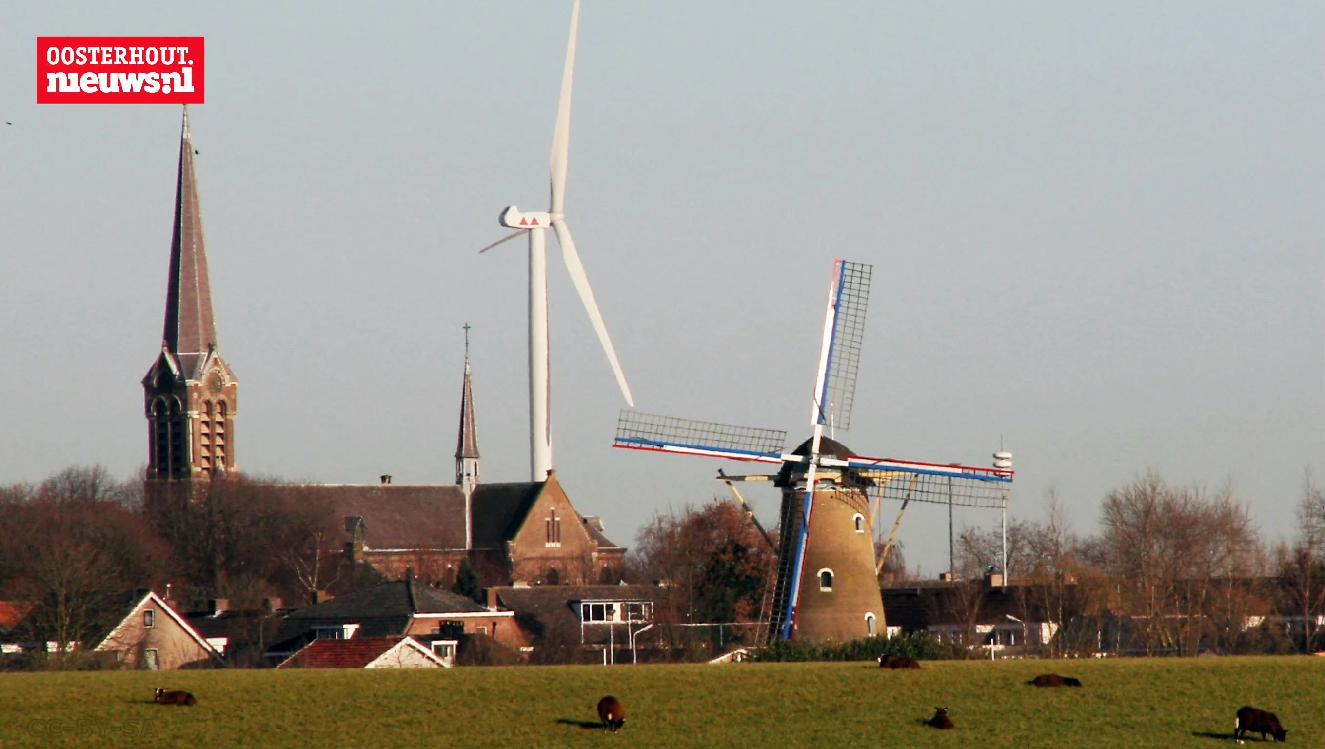 molen den hout