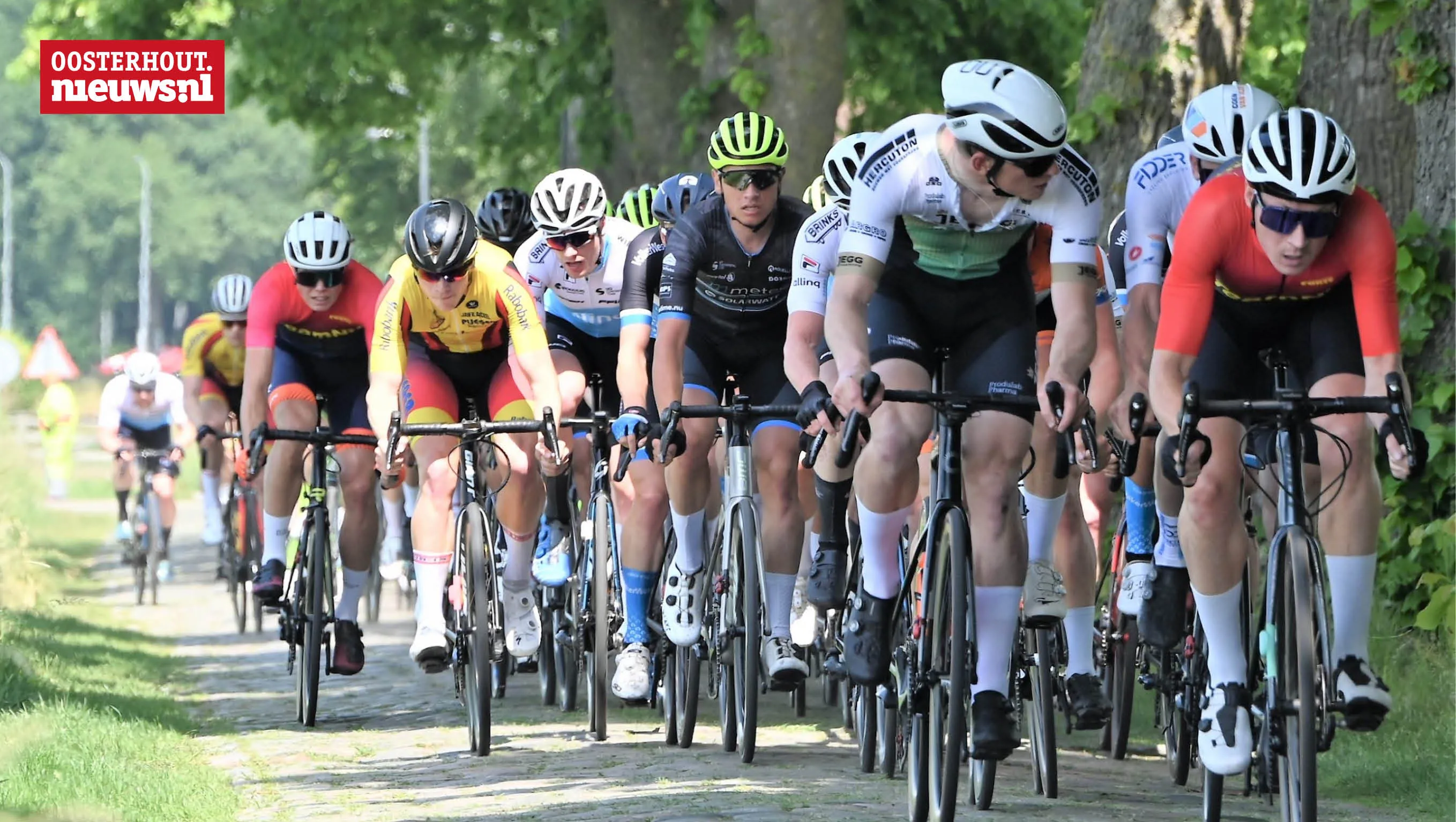 omloop van de houtse linies