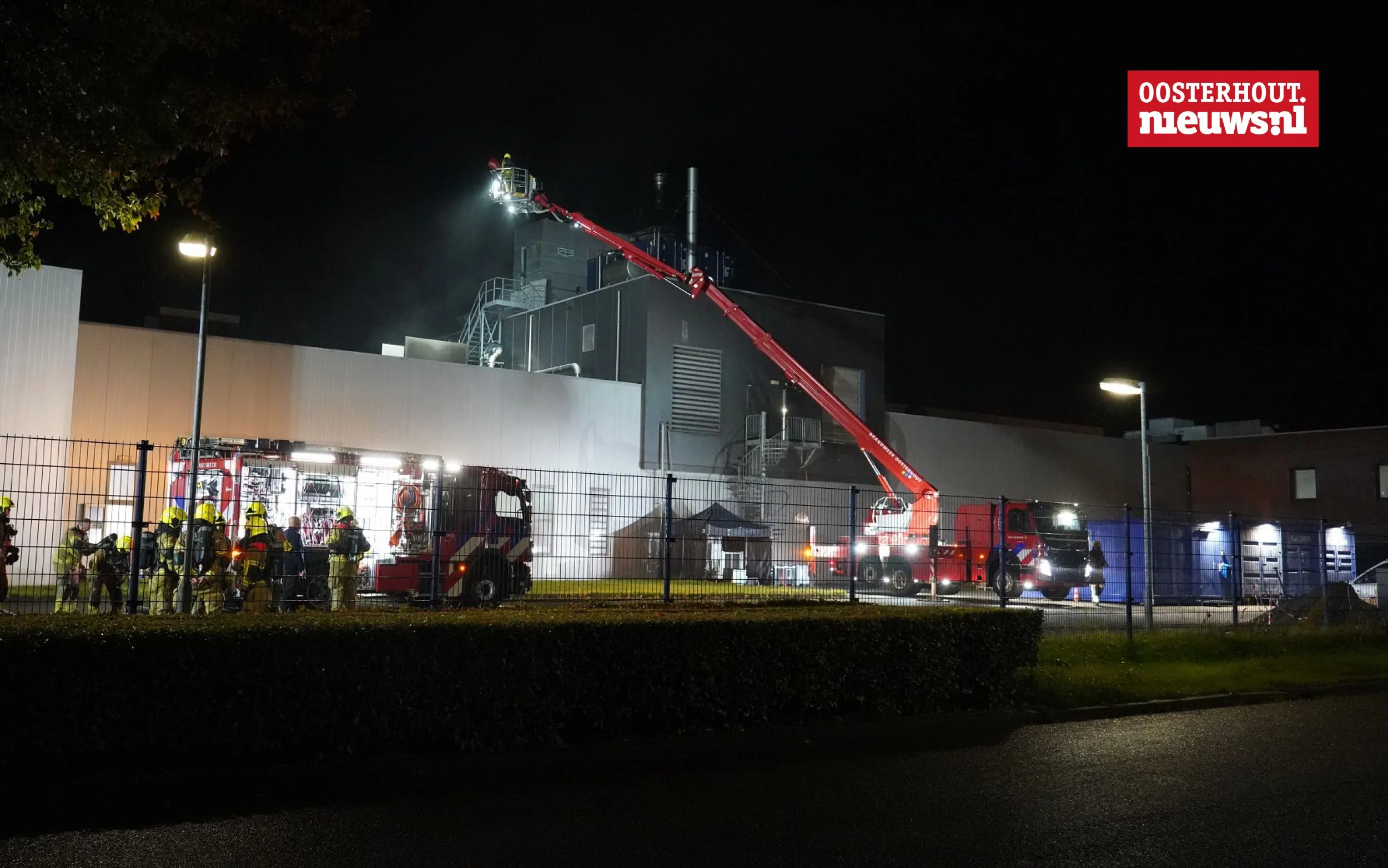 brand dalco2