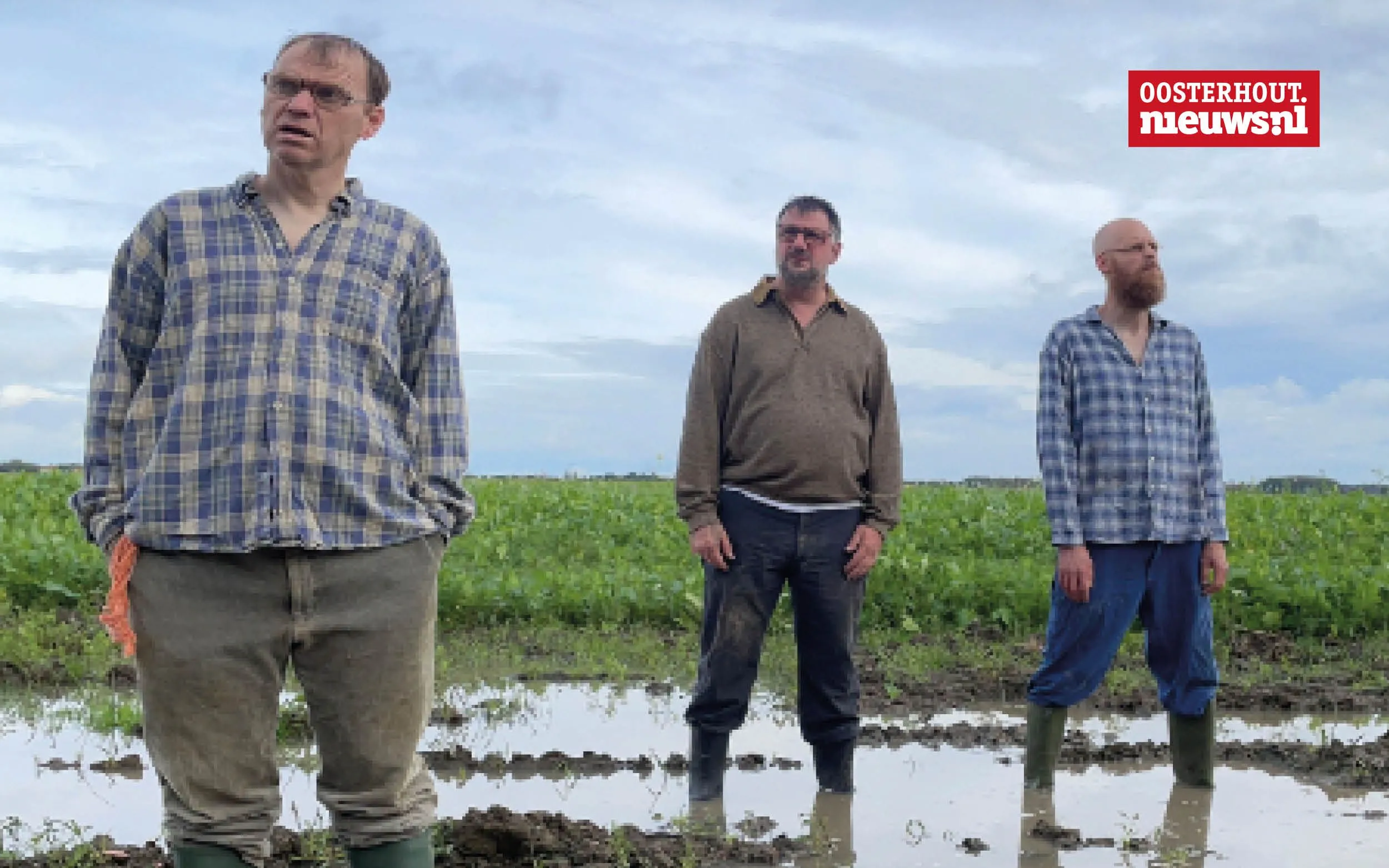 diemaalplankenkoorts