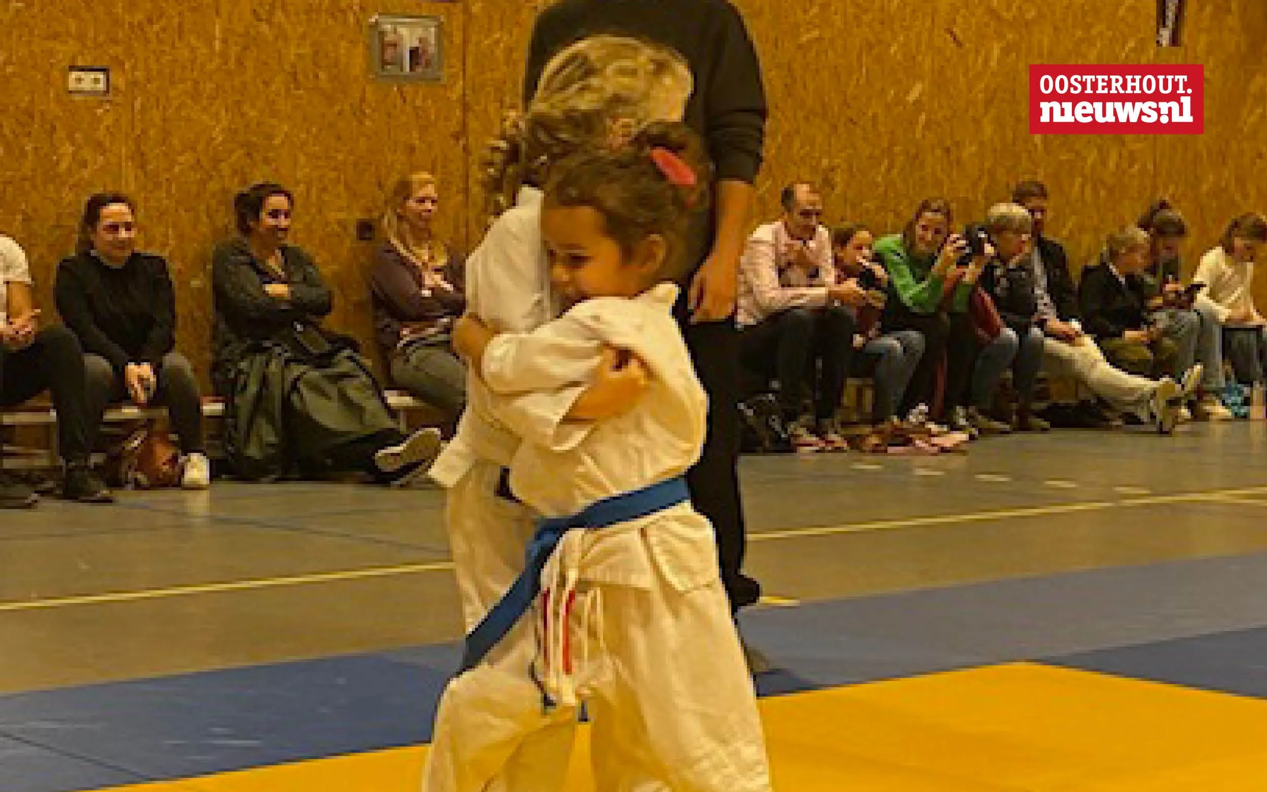 judo