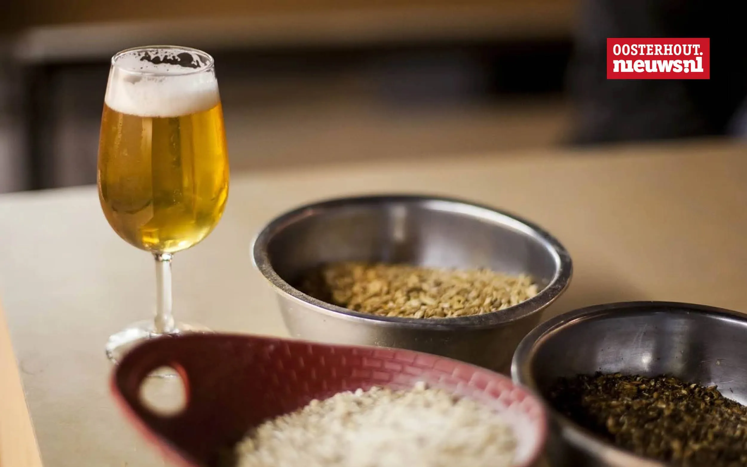 bier proeven