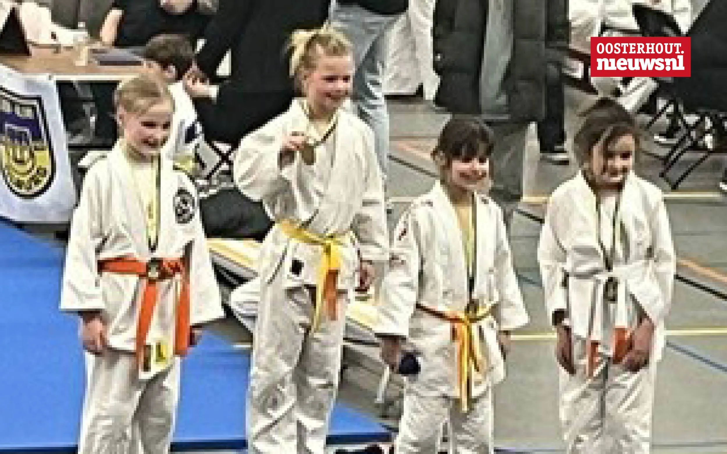judo