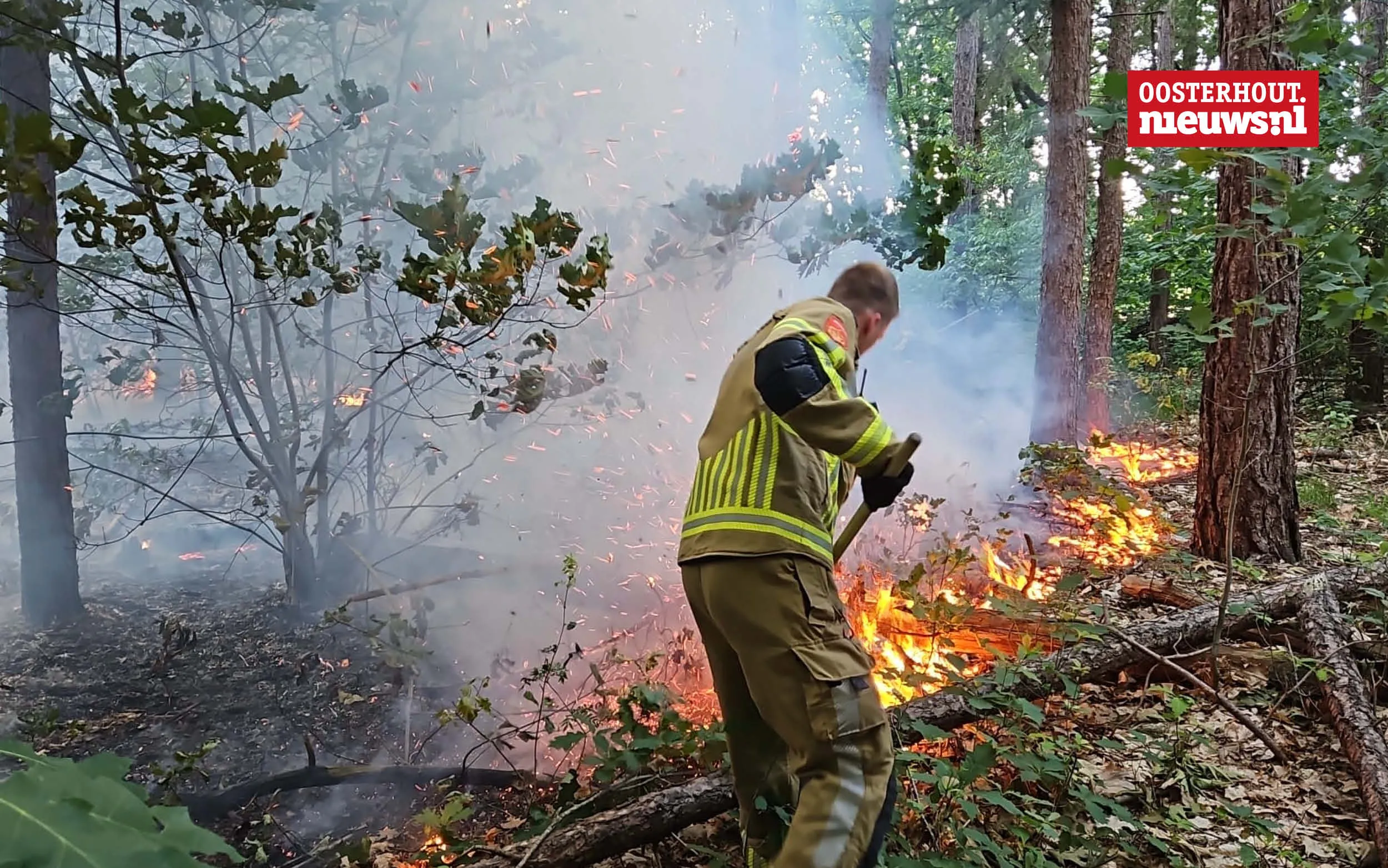 brandbos5