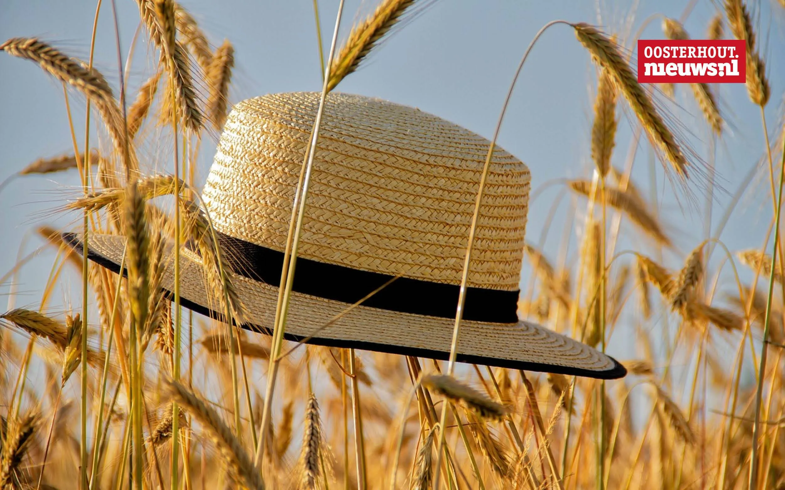 _Zomer