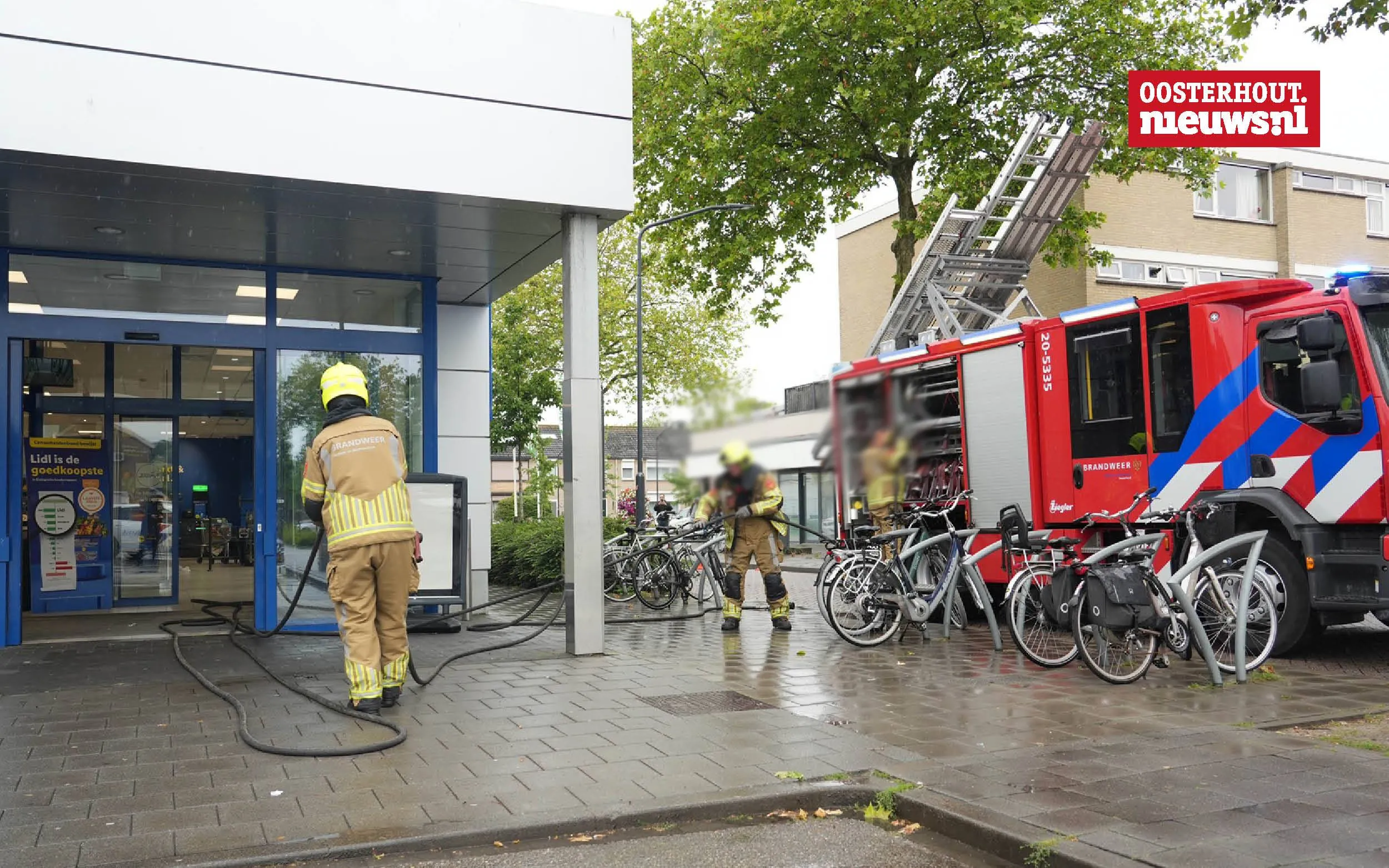 _Brand Lidl5