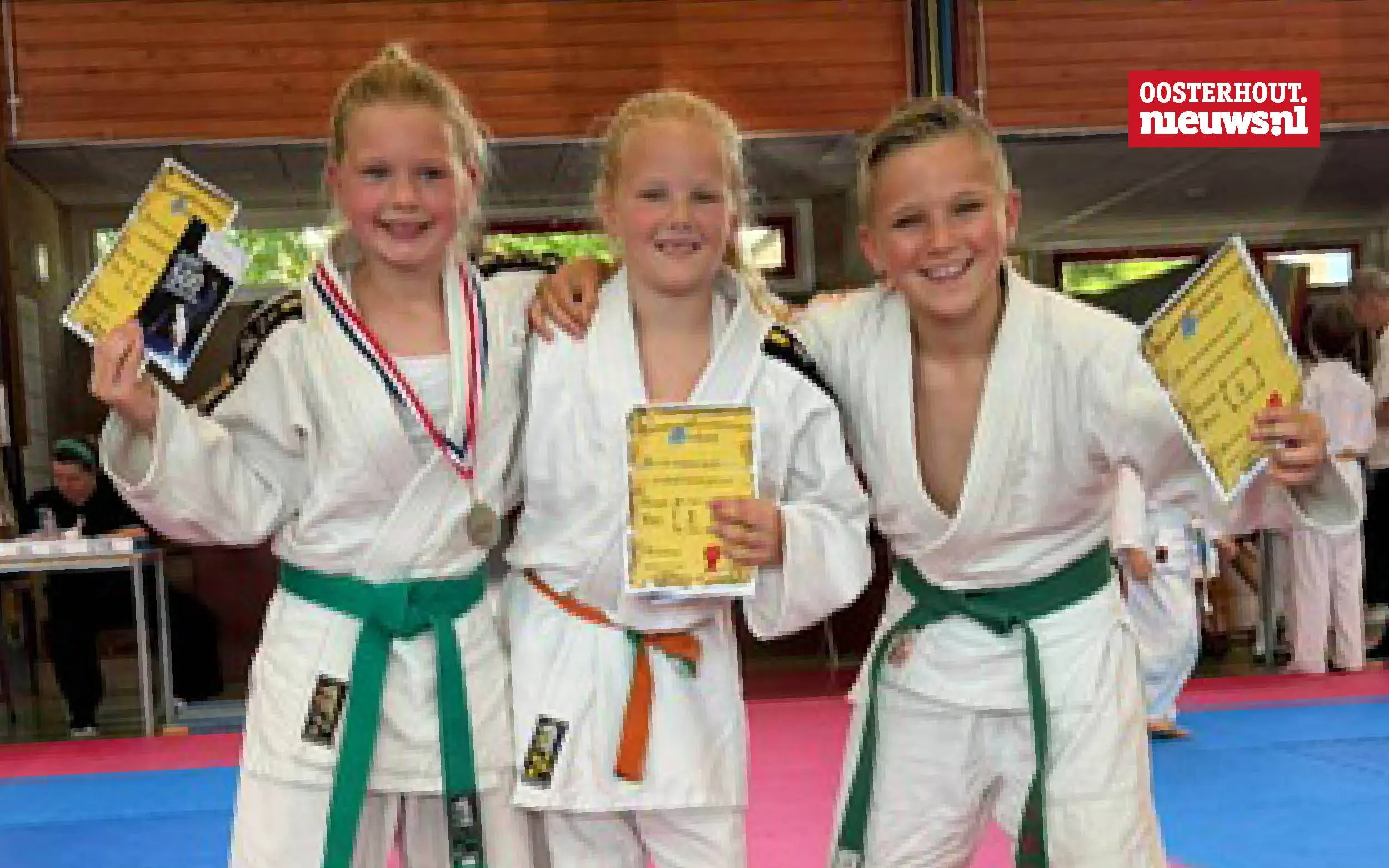 _judo
