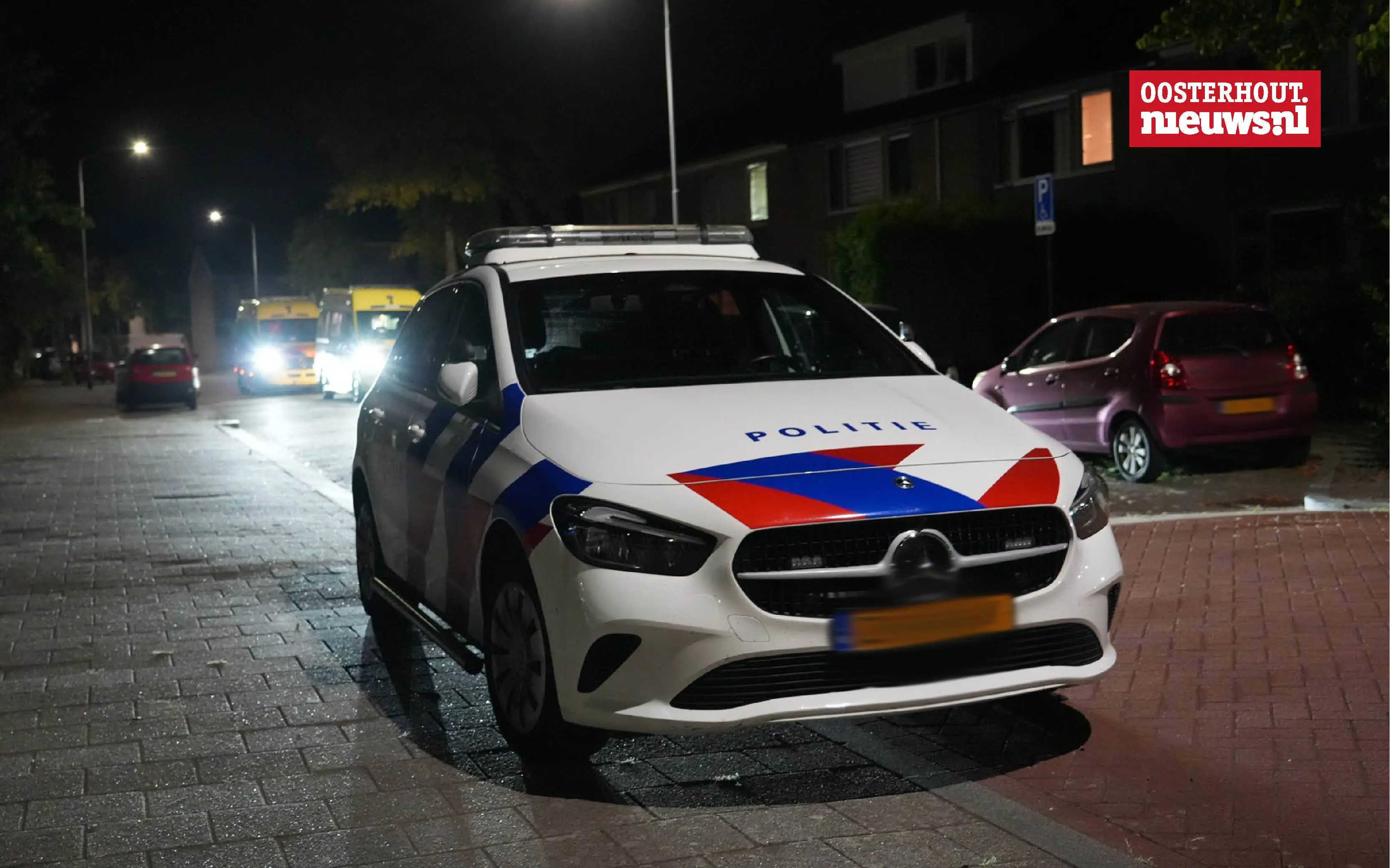 _steekpartij