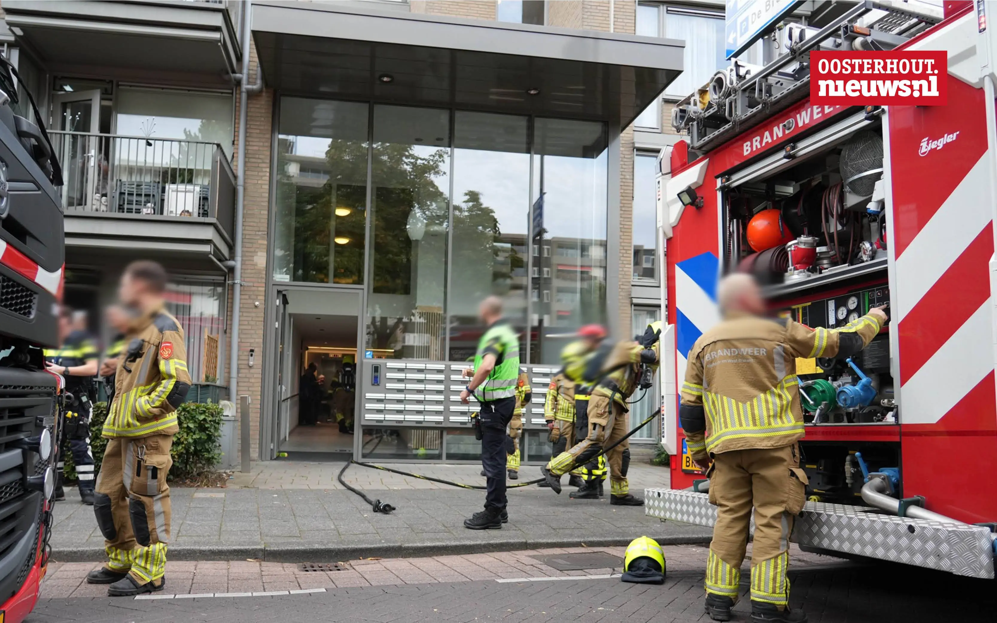 _Brand Stuve2