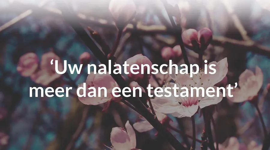 119019398 160082705710050 1441419544201184961 o1