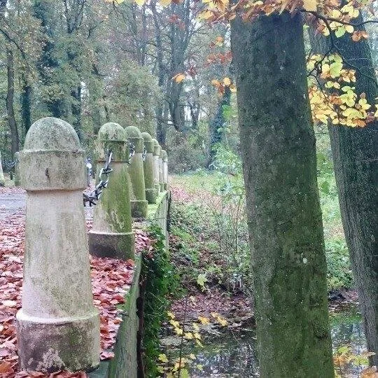 12234965 10205201960675249 752655121521745866 n