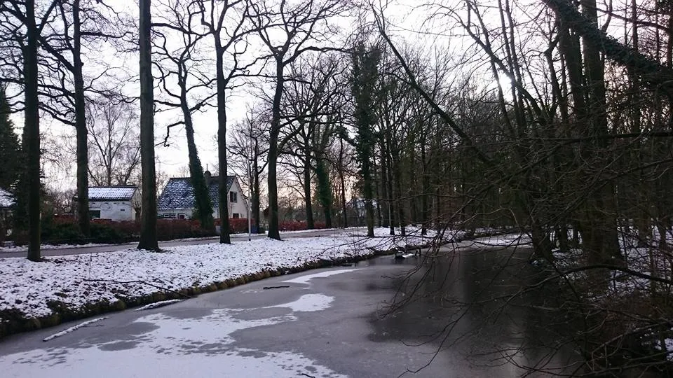 16114005 10208144079826389 2508411951593963888 n