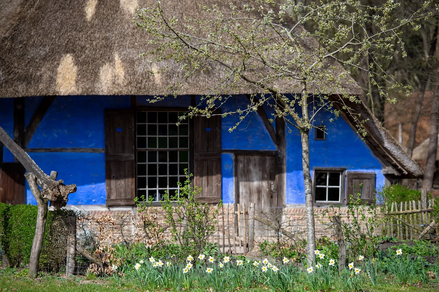 1757 80c9609bbaeb88836b65f9368ef457b3