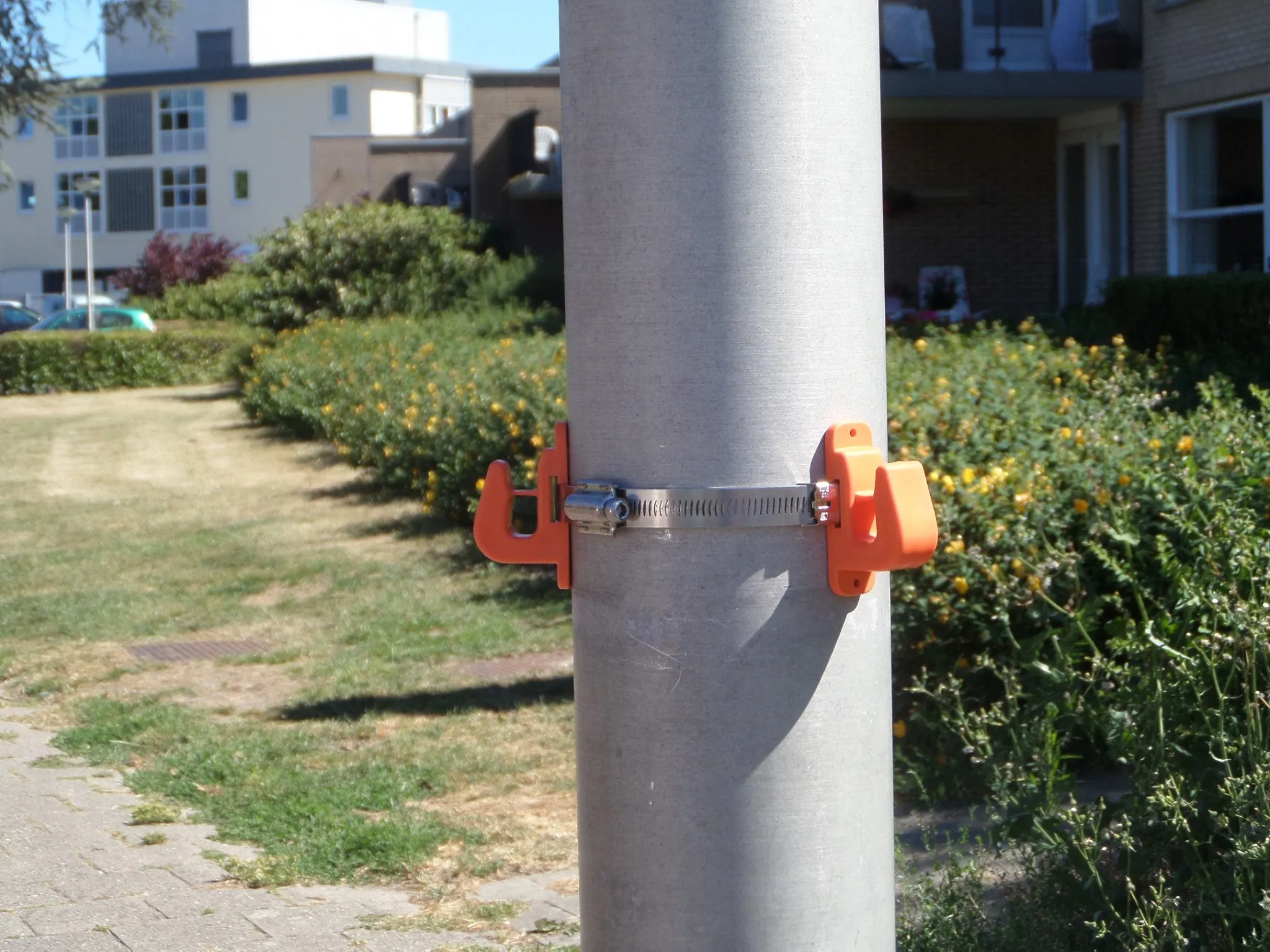 194751139 148253794011642 7998438876492554765 n