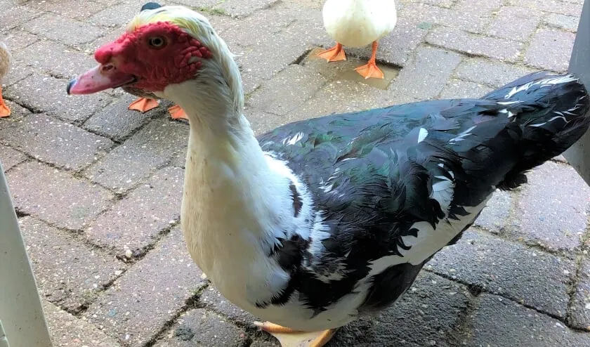 1a49fe96 5d5b 4bf6 af3b 936a8b306237 thumb840