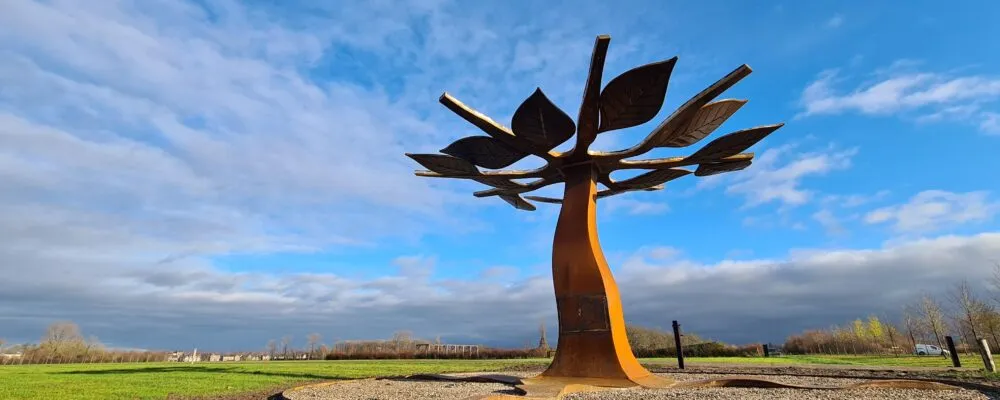 20201214 134357 1000x400