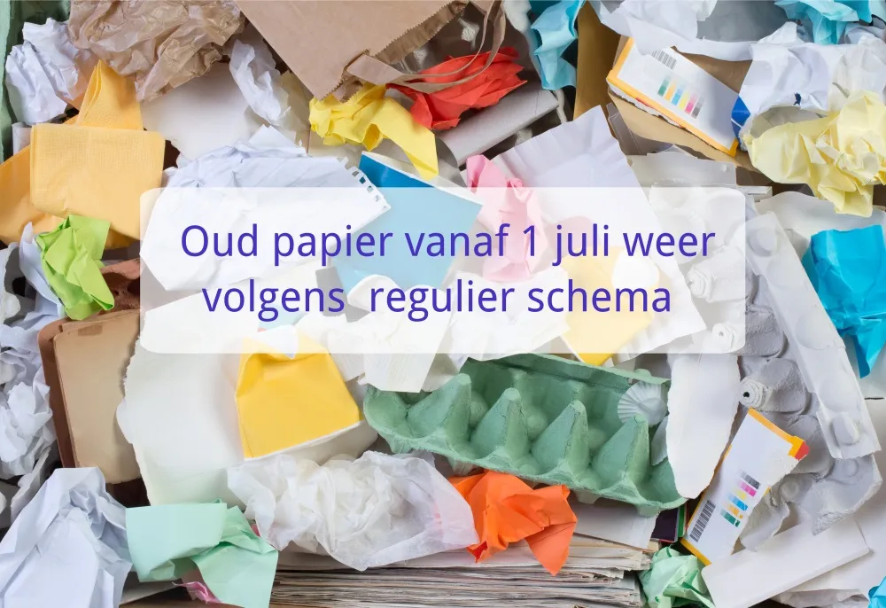 205385788 161998805970474 2850210410174093552 n