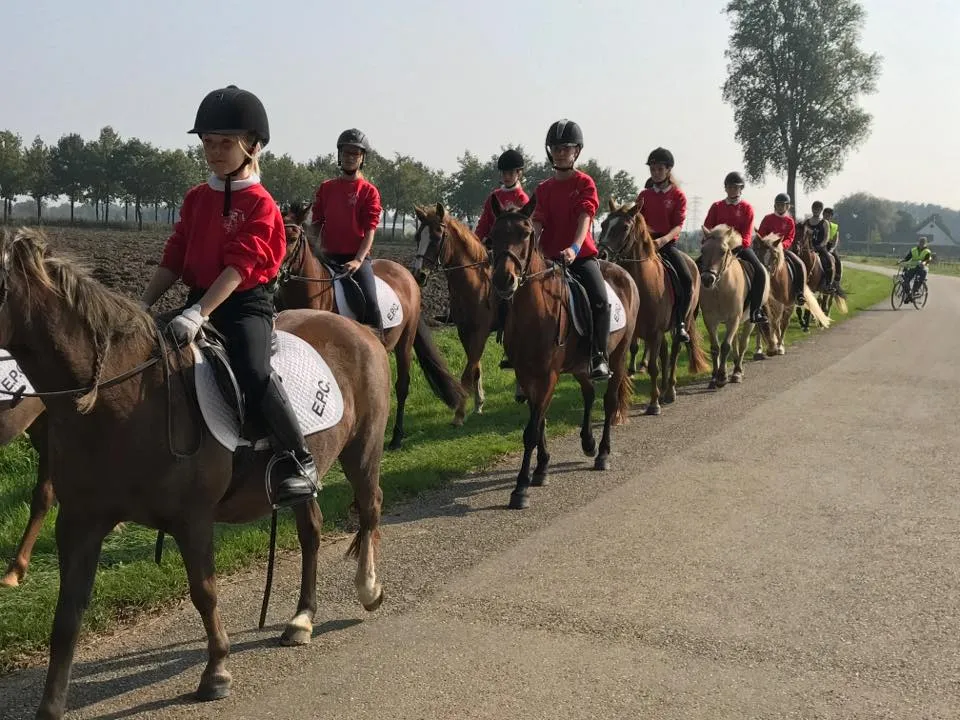 30126996 1988144734738743 6499409931497384637 n