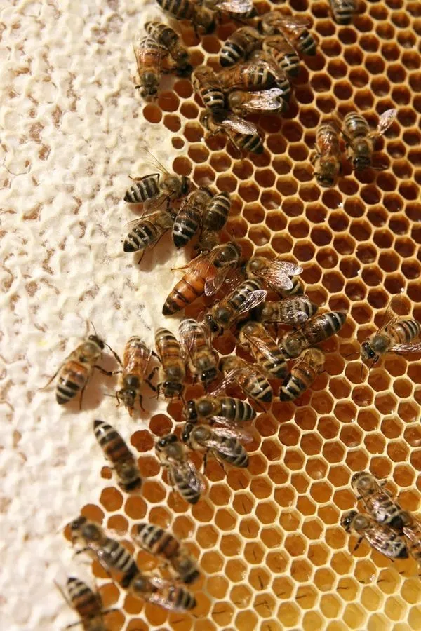 56380203 10213655319443935 149421985242284032 n