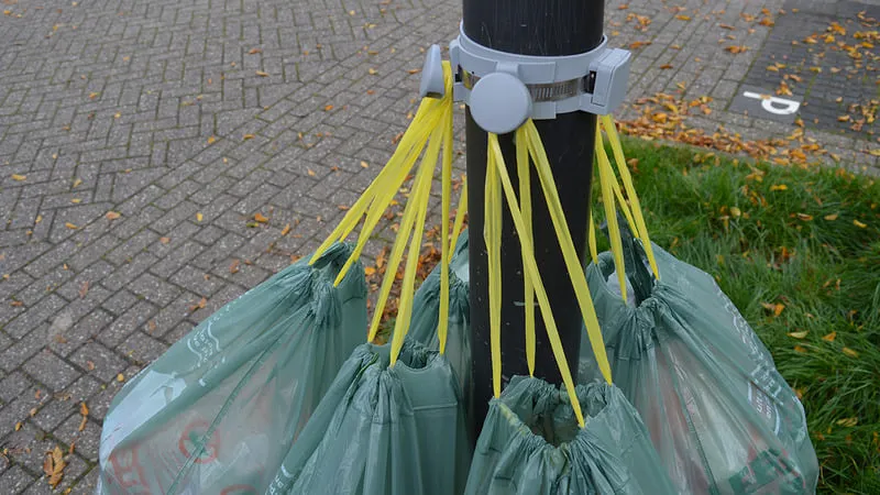 70906850 1381759221973600 322138026262134784 n