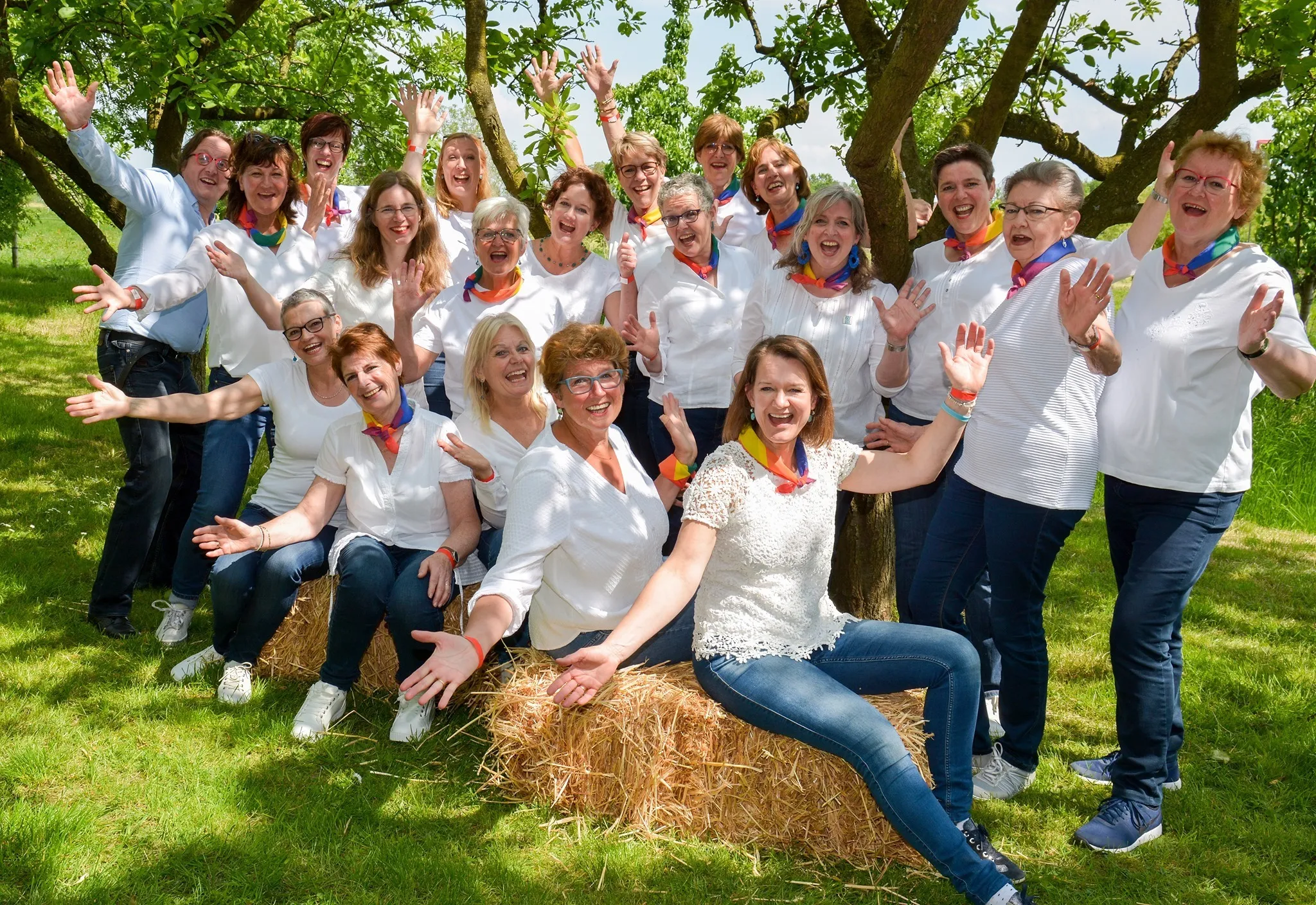 76969692 2530545120316234 5451986976796311552 o