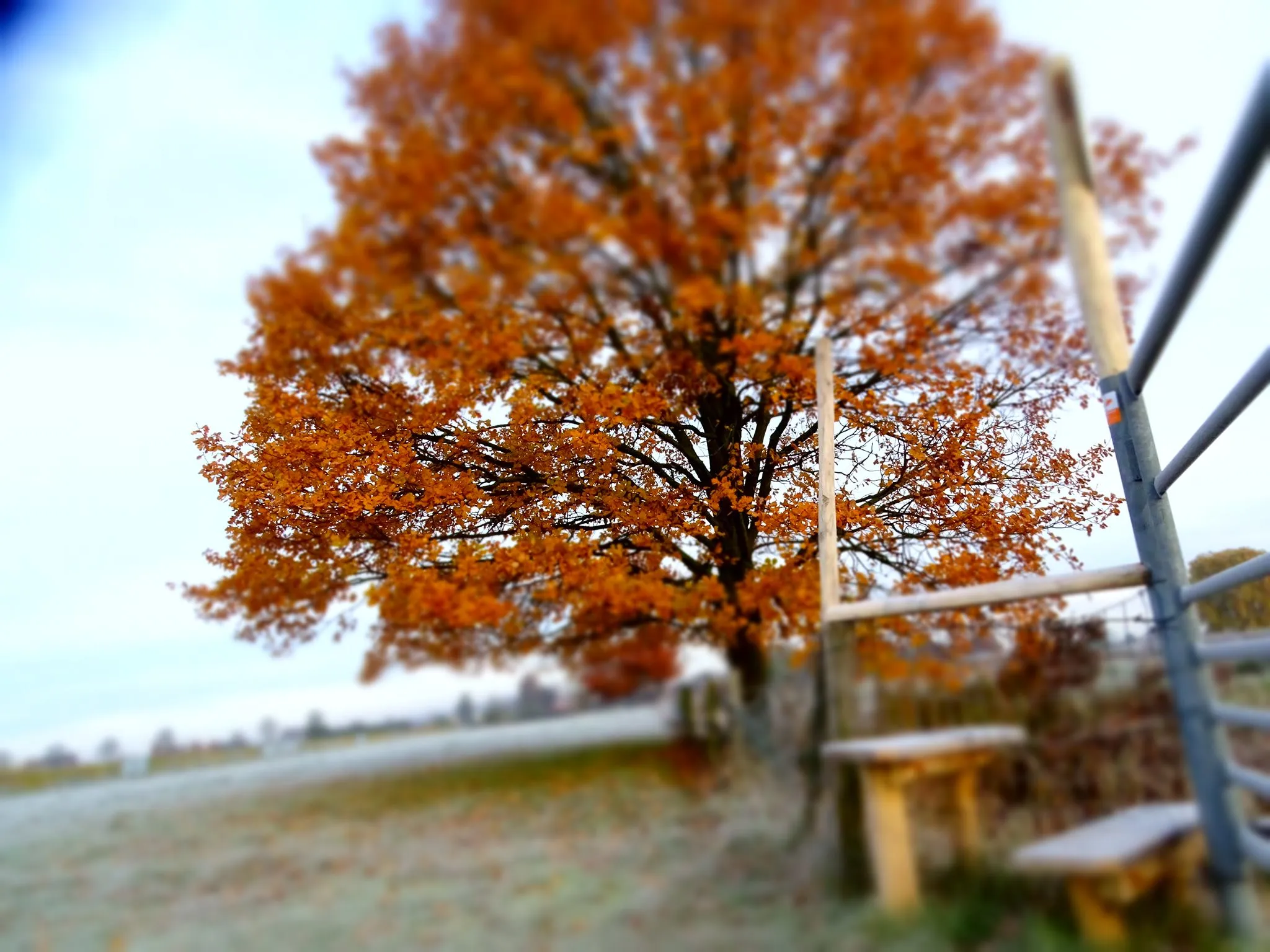 78199997 2568470873267476 222180663971807232 o