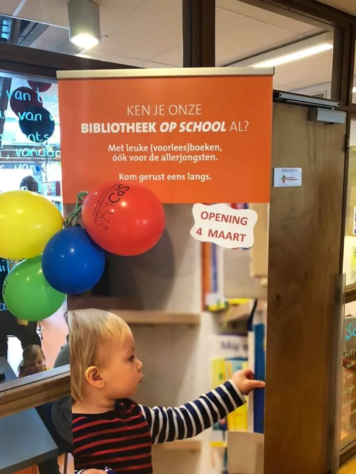 87703411 1150374025301797 2063053348398956544 n