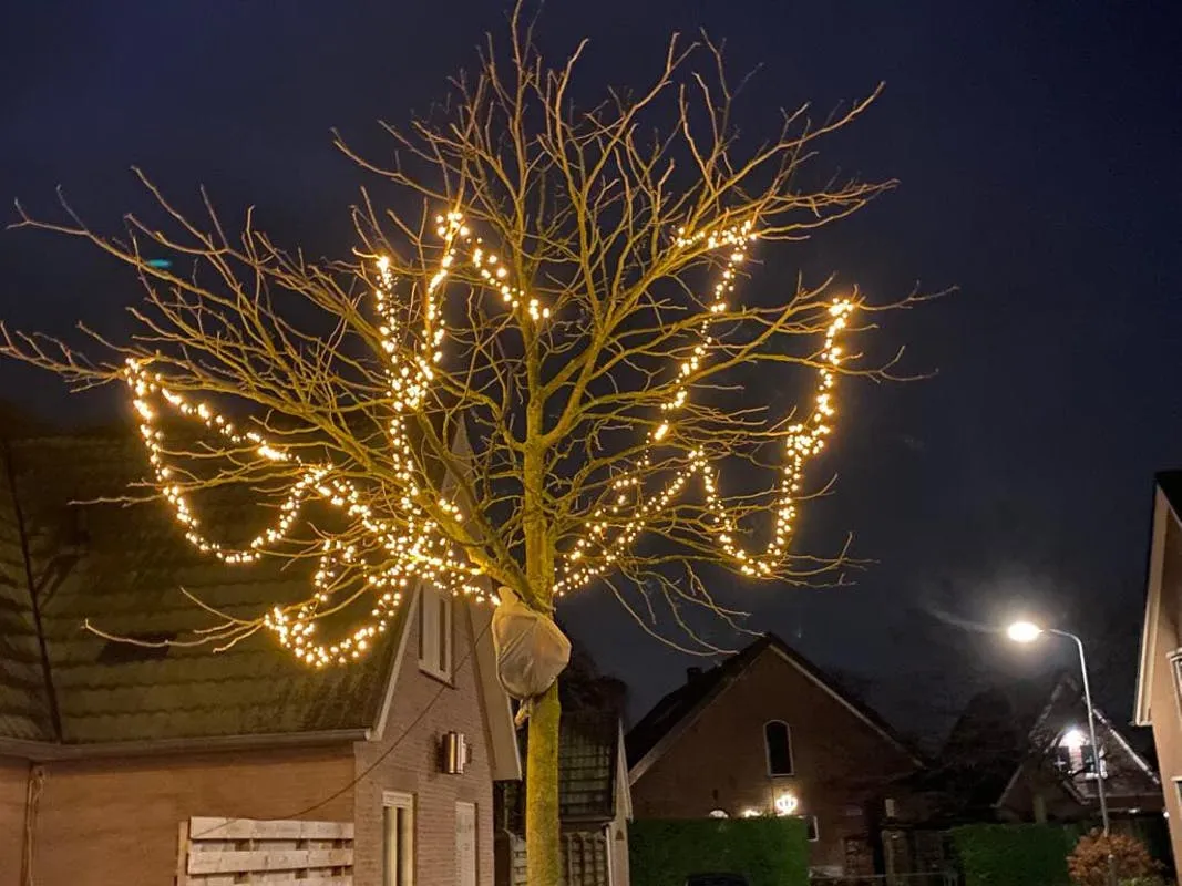 8dcfd230 2269 11ea baf2 1589d0edfaa4