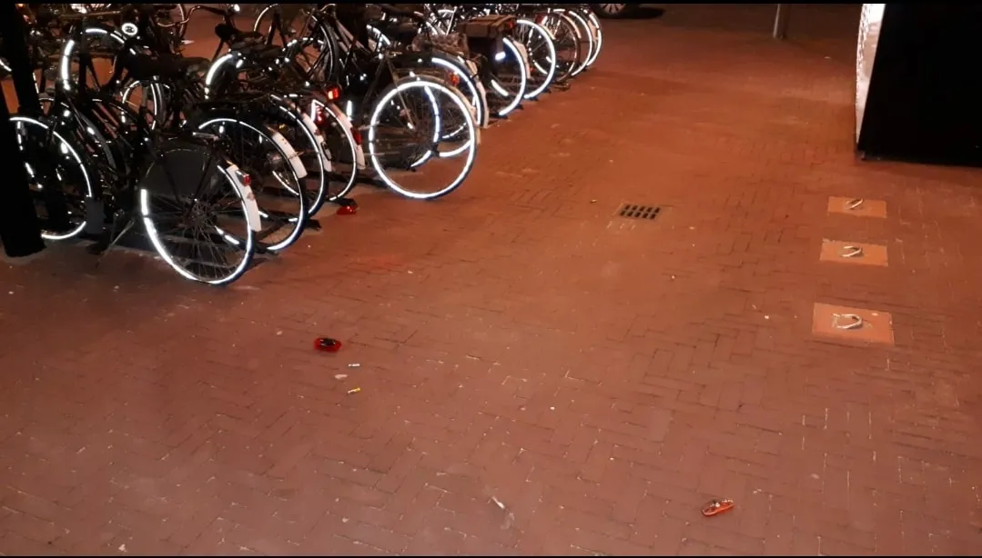 91265429 1498182527015030 1028783820037423104 o