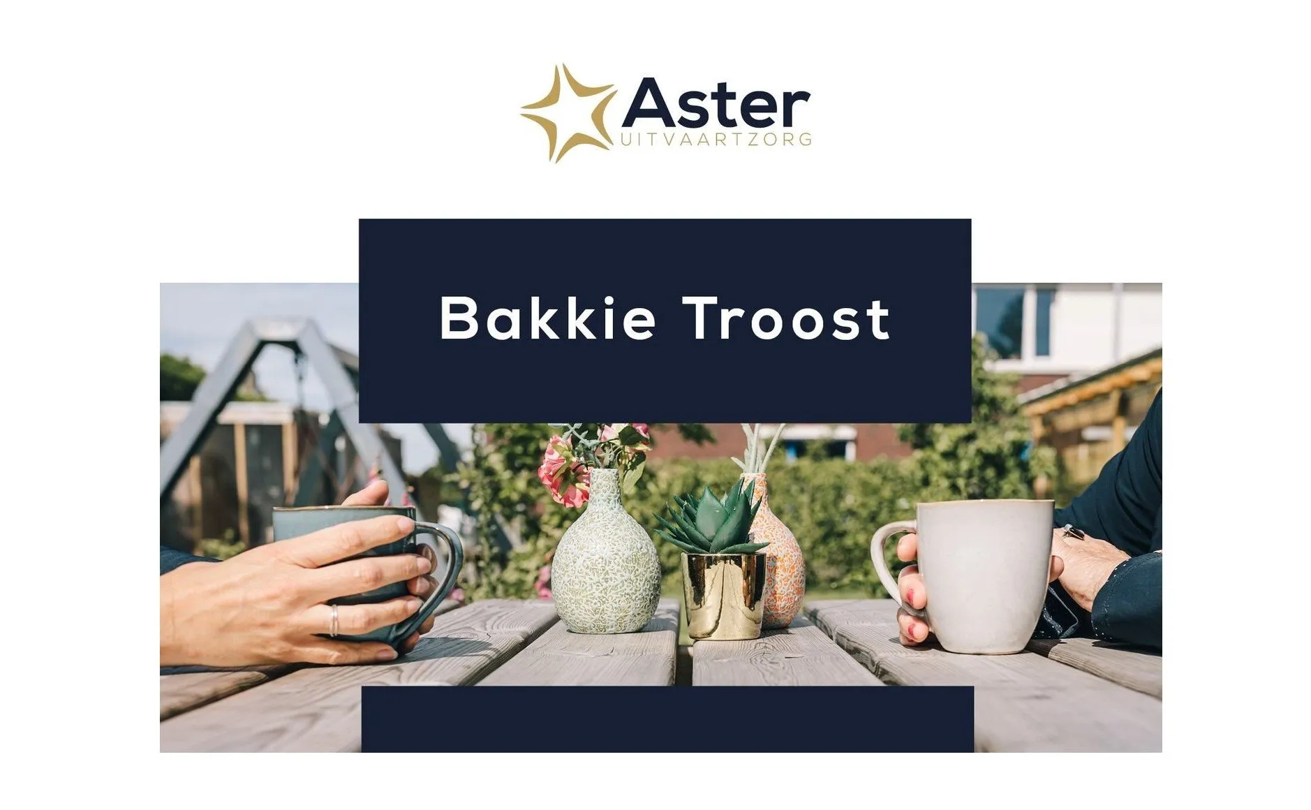 bakkie troost