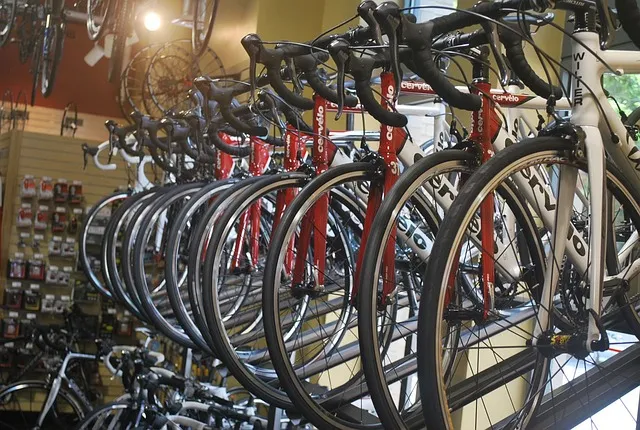 bicycle 13501 640