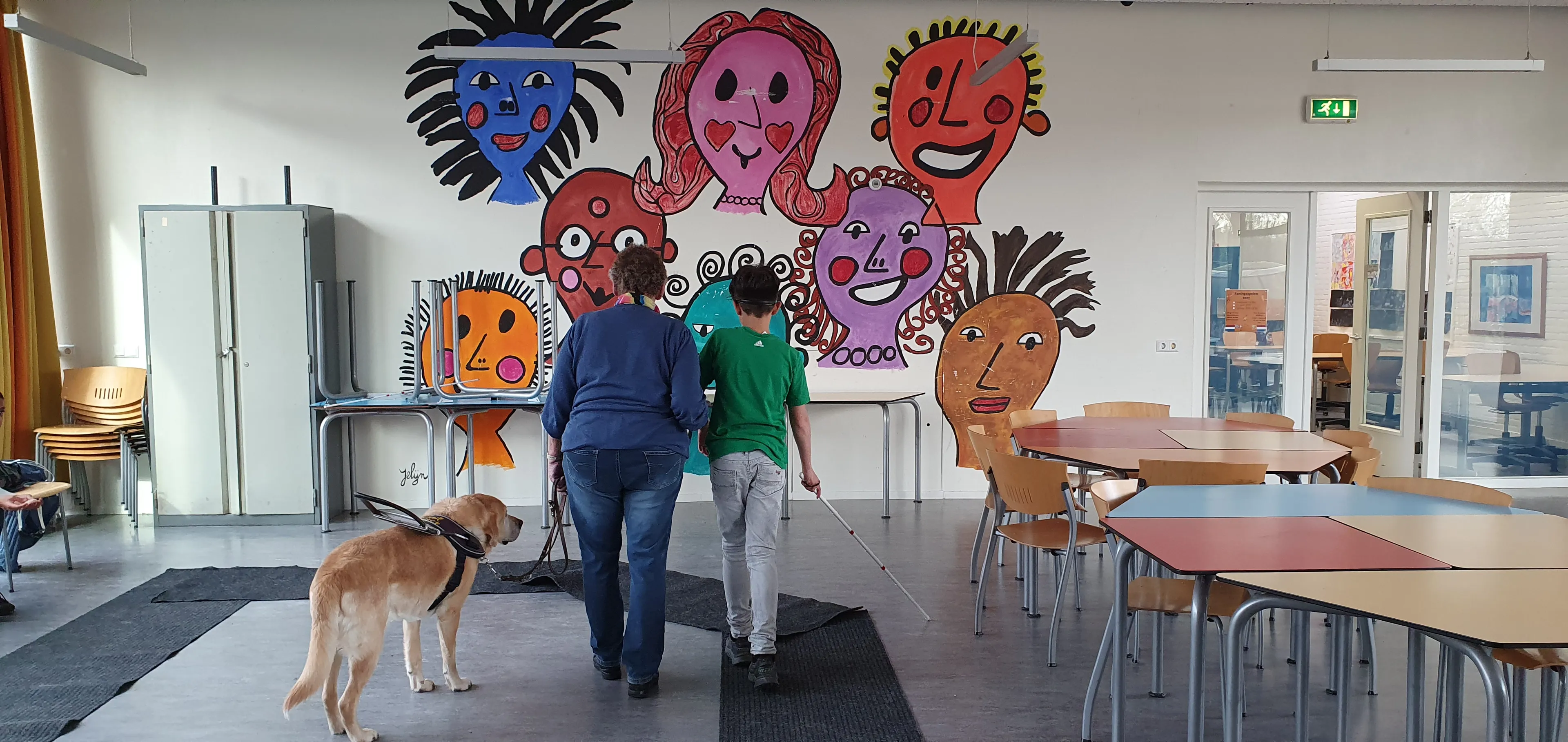 blindengeleidehond 2