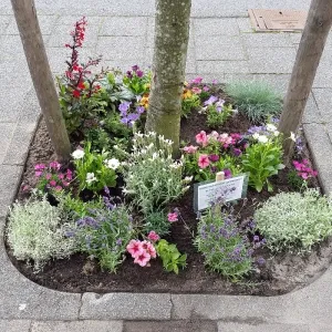 boomspiegel afbeeldingkl 300x300 wijkplatform elst oost