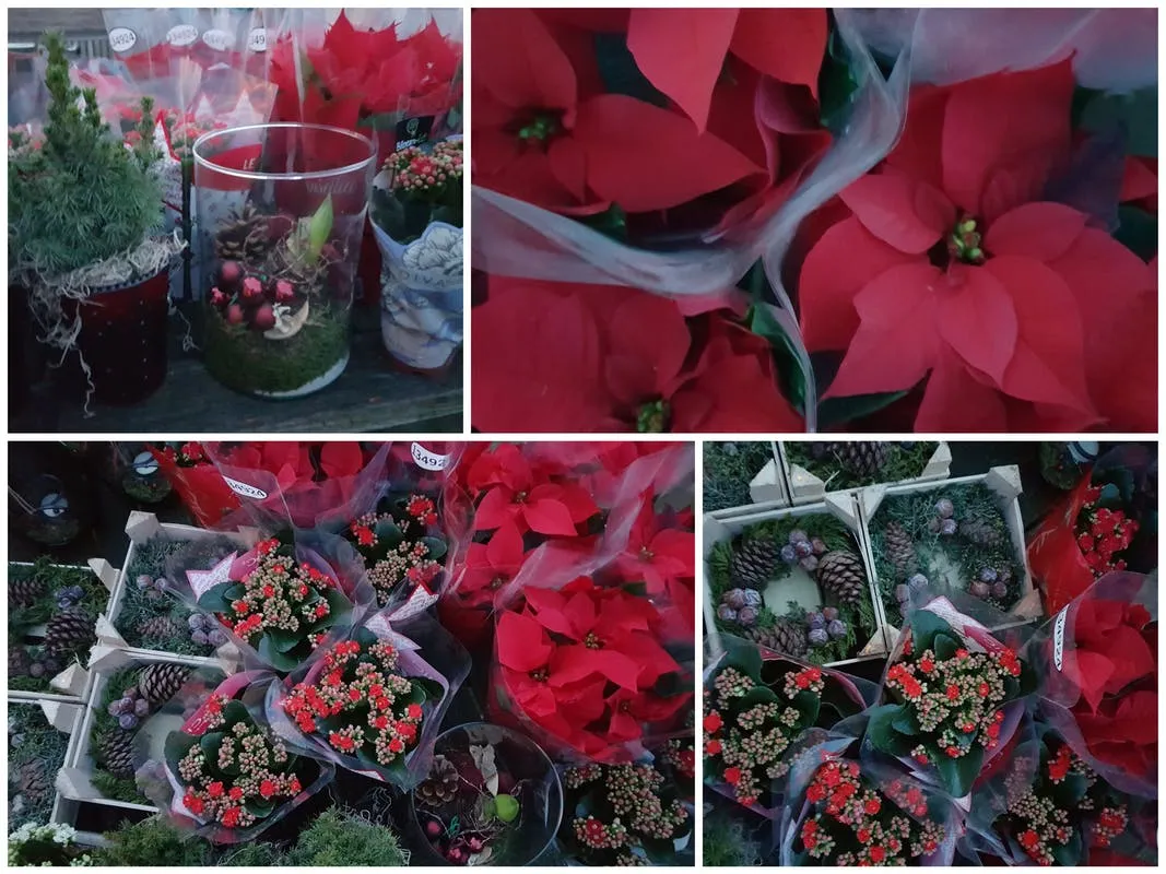 c95a8780 2db1 11ea 956c 8fa09625066b