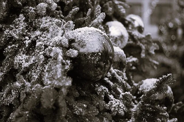 christmas tree g28f8114cc 640bw