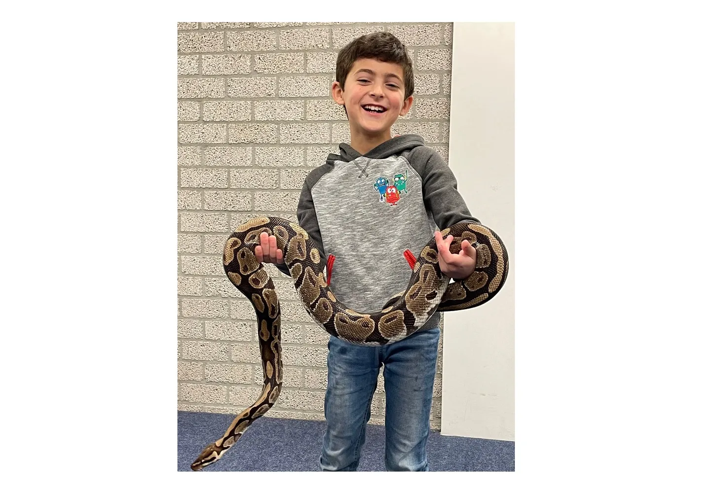 exotische
