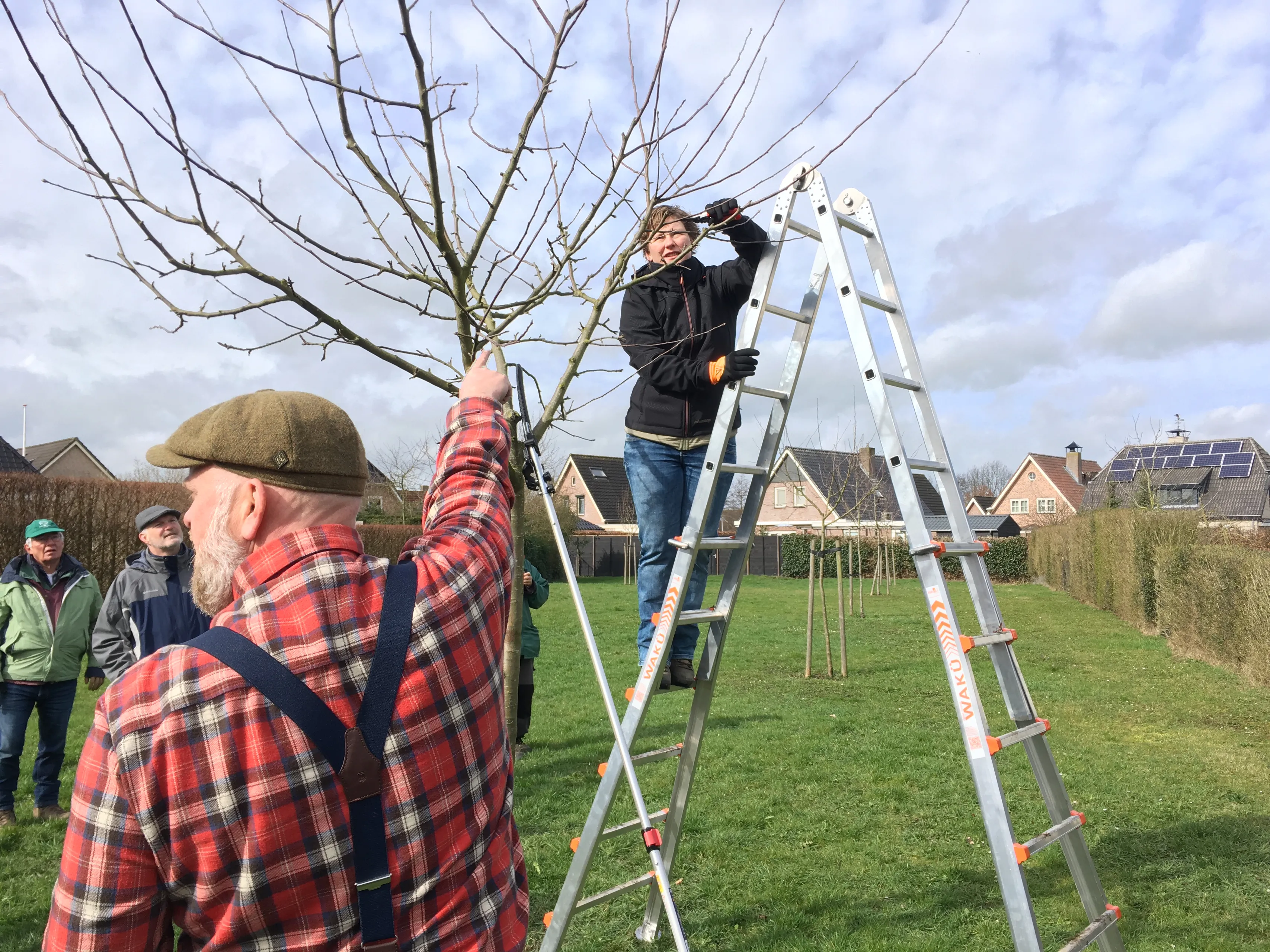 foto 09 03 19 11 46 16 1